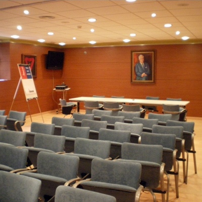 Forro de pared en salón de actos