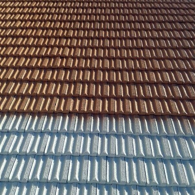 FOTOS APLICACION DE FRITERMOL