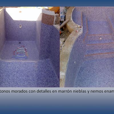 Colocación Mosaico Vítreo