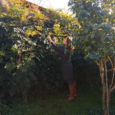 Ajardinamiento de acceso a vivienda rural