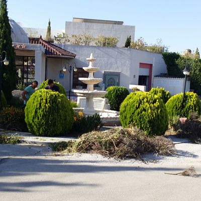 Reformando jardín en un hotel