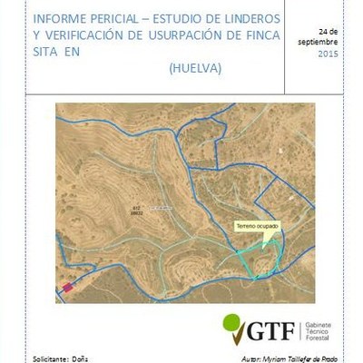 Informe pericial de lindes