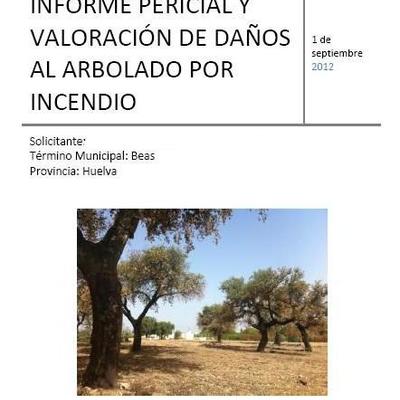 Informe pericial de Incendio Forestal