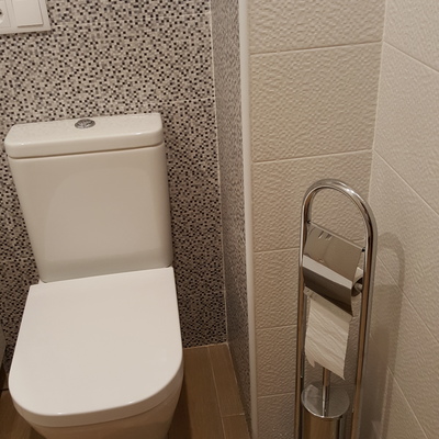 Inodoro nuevo y azulejos