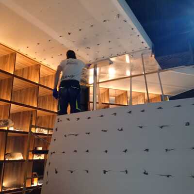 Proyectos realizados