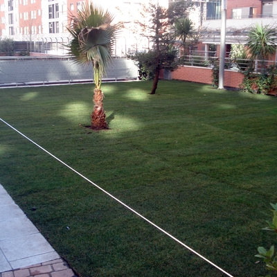 Instalación De Tepe Y Paisajismo
