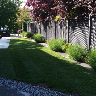 Instalación de tepe y riego por difusión