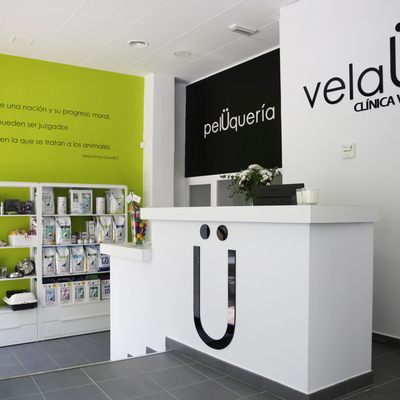 Proyecto Clínica Veterinaria VelaU