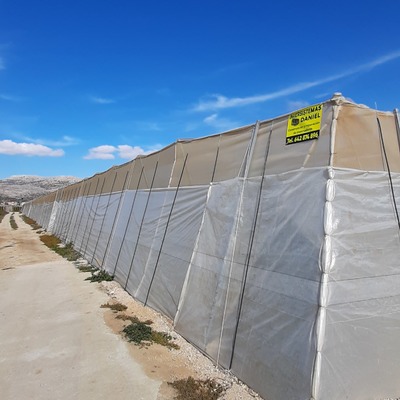 Construcción de invernadero para el cultivo de tomate zafarraya