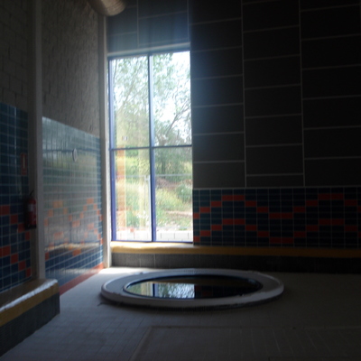 Jacuzzi y carpinteria 