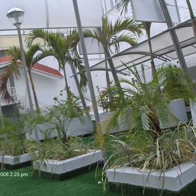 Diseño y Construccion de Jardin con cesped artificial
