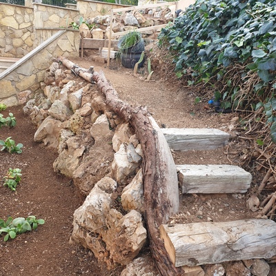 Jardín mediterráneo