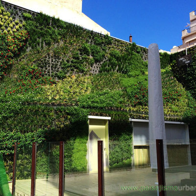 Jardín vertical creciendo