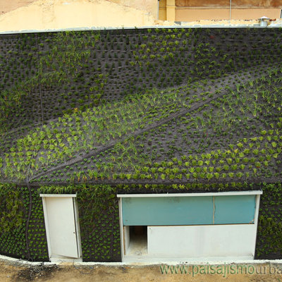 Jardín vertical recién terminado