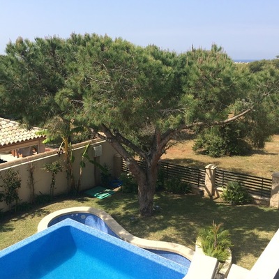 Jardín y Piscina en Marbella