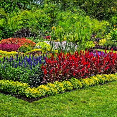 Jardinero Marbella, Jardinero Estepona, Jardinero Sotogrande. Jardinería Marbella, Jardinería Malaga