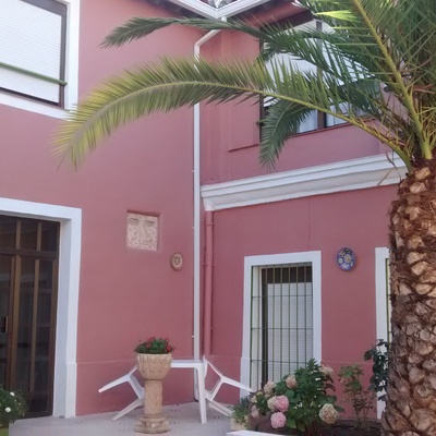 la palmera de 200 años