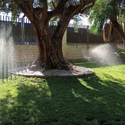 Mantenimiento de jardín