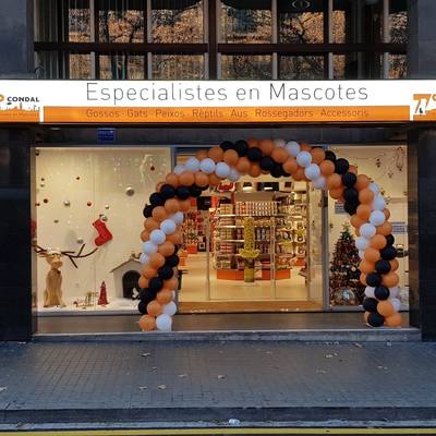 Licencia de Actividad