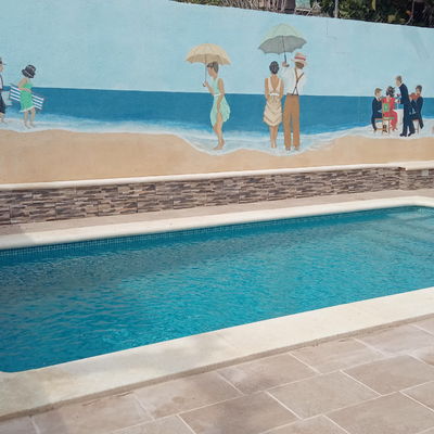 Limpiando el cestillo del Skimmer.