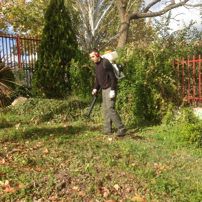 Remodelacion de xerojardineria en Alcorcon