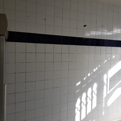 Limpieza y desinfección por hongos por humedad