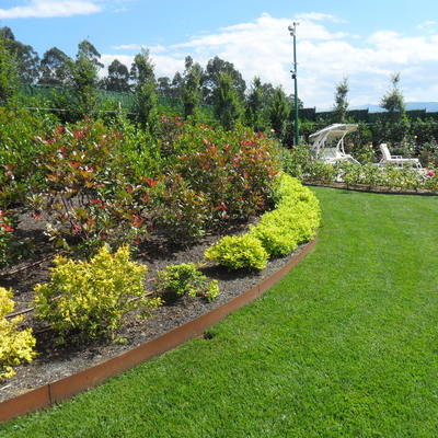 Líneas curvas, contrastes cromáticos, intimidad, sorpresa...