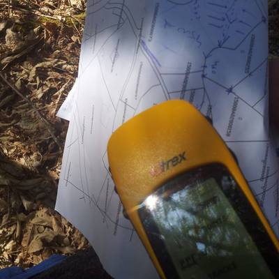 Tasación de madera y localización de montes en La Coruña