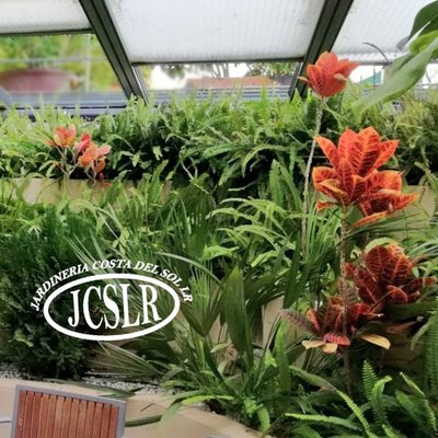 mantenimiento y obras de jardines