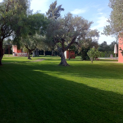 Mantenimiento de jardines integrales