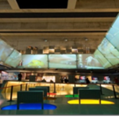 Museu Olímpic I De L’Esport De Barcelona, Certificació Tècnica De Les Instal•Lacions D’Electricitat