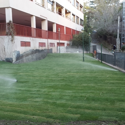 Implantacion de césped en piscina de san Lorenzo del Escorial