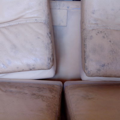 Restauración De Moho En Piel