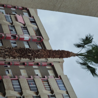 Campaña de Invierno  ¡¡SUPER PRECIOS!!