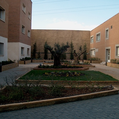 Creacion De Jardin En Antiguo Aparcamiento 