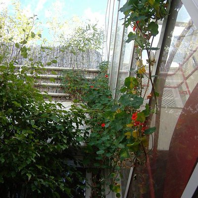 Azotea 250 M Madrid Centro