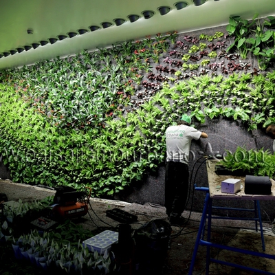 Jardin Vertical Son Claret