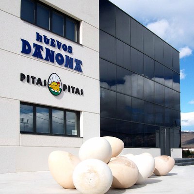 Explotacion De Gallinas Ponedoras