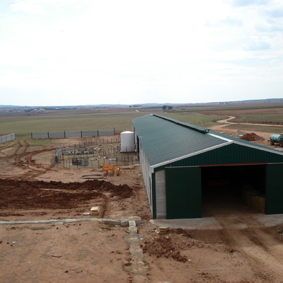 Nave Ganadera (Corral Rubio(AB))