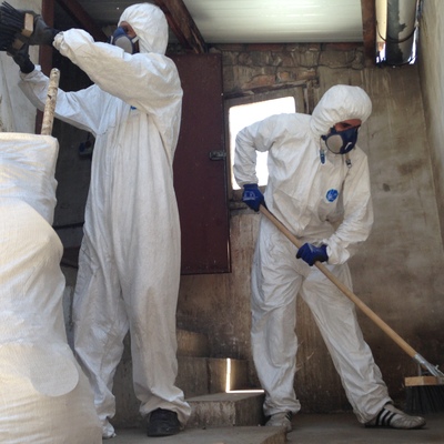 PALOMAS EN CUARTO DE MAQUINAS 