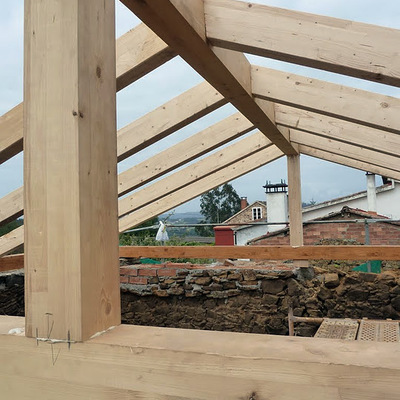 Nueva estructura de abeto laminado