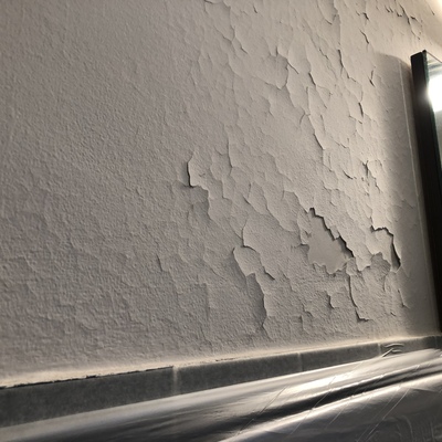 Rehabilitacion paredes baño