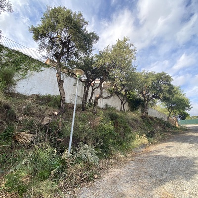 Limpieza de la parte delantera de la casa, después de años