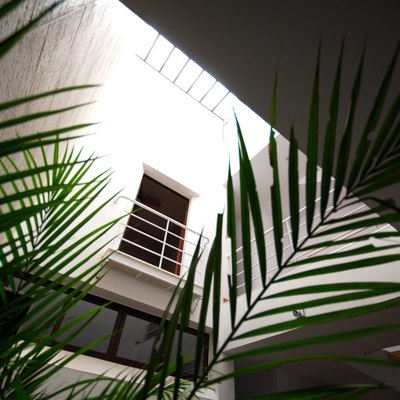 Patio en Salón Comedor