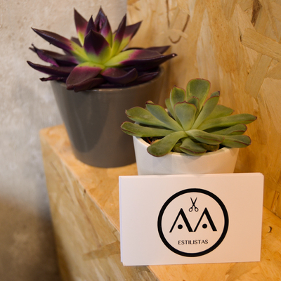 Peluquería Ana Ares