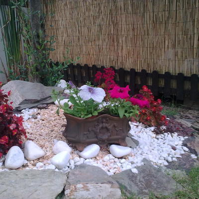 Pequeña rocalla junto a leñera