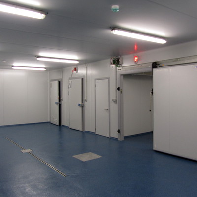 Industria De Procesado De Pescado