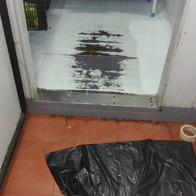 Reparaciones y mantenimiento cámara frigorífica 