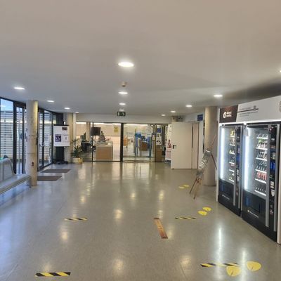 Pintura completa Universidad