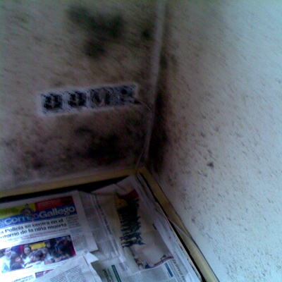 Pintura Piso Con Humedades